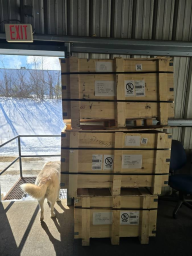 pasted-image-1770602610165